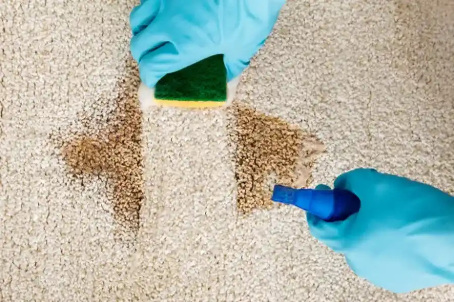 The Role of Carpet Cleaning in Allergy and Dust Control in Long Beach, CA, 90810