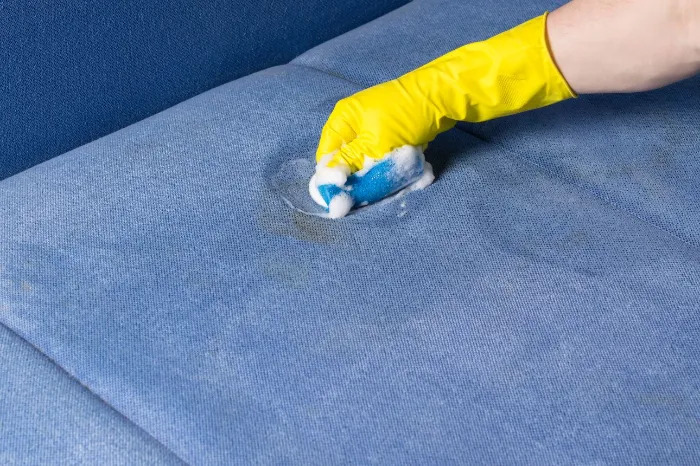 Couch Cleaning Service Long Beach CA 90810