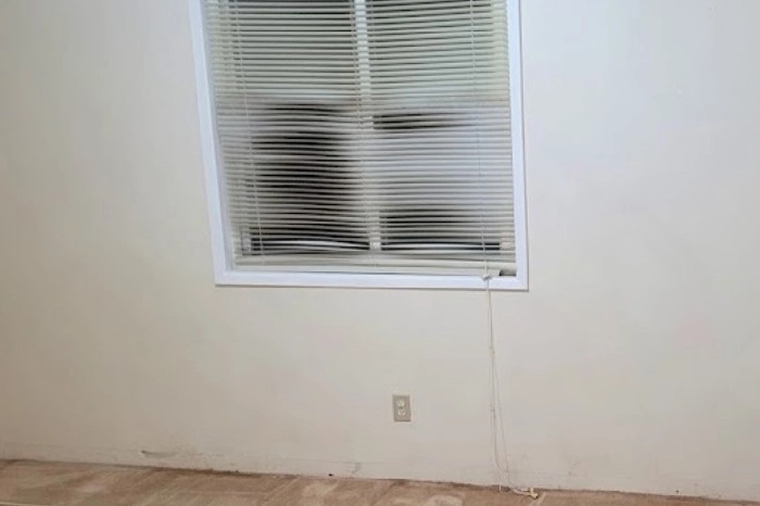 Window Cleaning Services Long Beach CA 90810